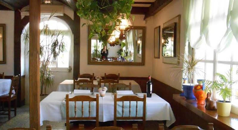 Marbella * Rosas